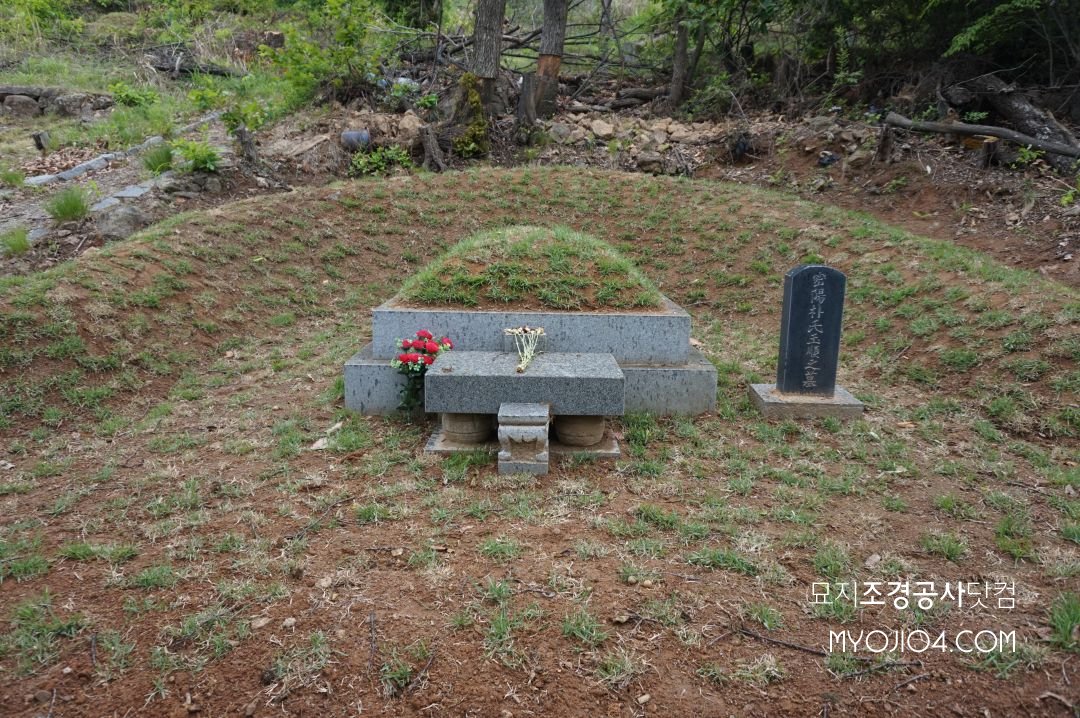 DSC00173.JPG