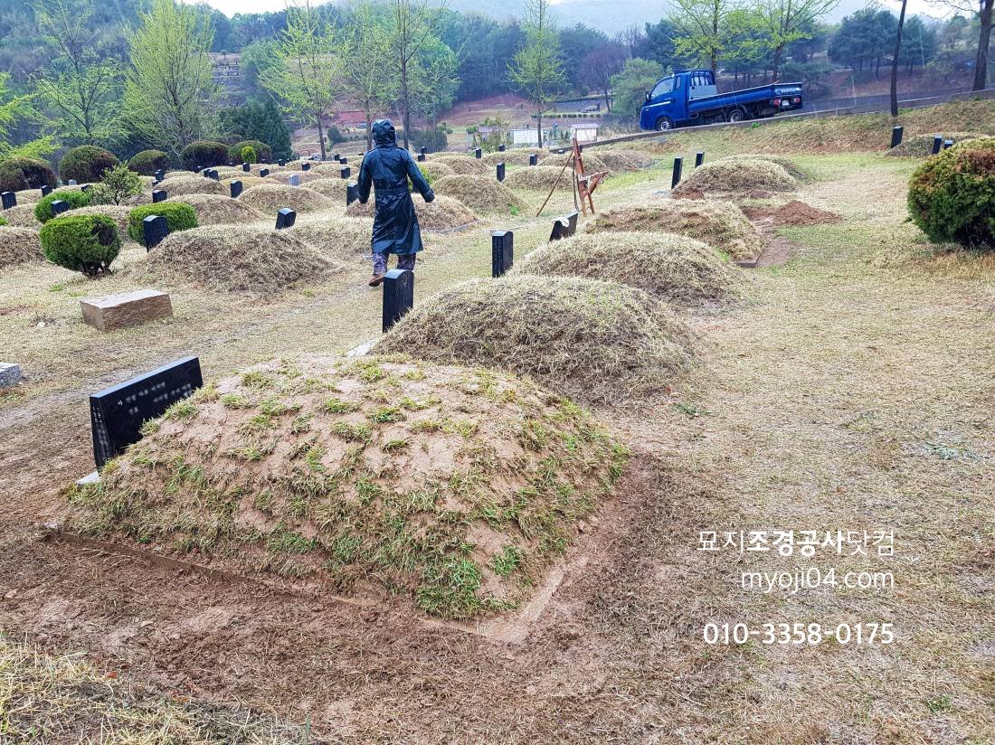 20180423_113548.jpg