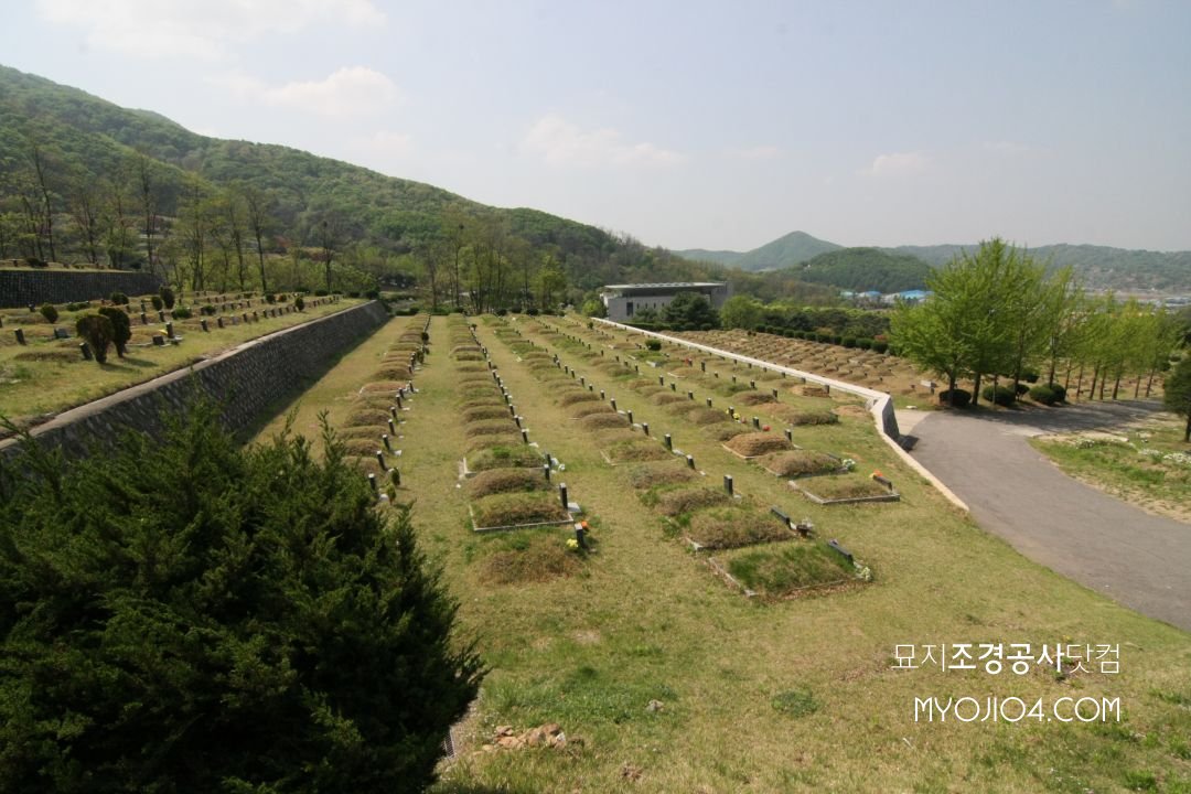 IMG_8245.JPG